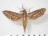  ( - BC-Hax3512)  @14 [ ] Copyright (2010) Unspecified Research Collection of Jean Haxaire