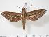  ( - BC-Hax3514)  @14 [ ] Copyright (2010) Unspecified Research Collection of Jean Haxaire
