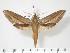  ( - BC-Hax3515)  @15 [ ] Copyright (2010) Unspecified Research Collection of Jean Haxaire