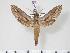  ( - BC-Hax3539)  @14 [ ] Copyright (2010) Unspecified Research Collection of Jean Haxaire