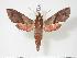  ( - BC-Hax3573)  @14 [ ] Copyright (2010) Unspecified Research Collection of Jean Haxaire