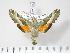 ( - BC-Hax3589)  @14 [ ] Copyright (2010) Unspecified Research Collection of Jean Haxaire
