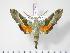  ( - BC-Hax3590)  @13 [ ] Copyright (2010) Unspecified Research Collection of Jean Haxaire