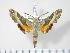  ( - BC-Hax3591)  @14 [ ] Copyright (2010) Unspecified Research Collection of Jean Haxaire