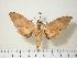  ( - BC-Hax3776)  @14 [ ] Copyright (2010) Unspecified Research Collection of Jean Haxaire