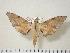  ( - BC-Hax3777)  @14 [ ] Copyright (2010) Unspecified Research Collection of Jean Haxaire