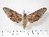  ( - BC-Hax3810)  @14 [ ] Copyright (2010) Unspecified Research Collection of Jean Haxaire
