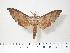  ( - BC-Hax3812)  @14 [ ] Copyright (2010) Unspecified Research Collection of Jean Haxaire
