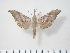  ( - BC-Hax3818)  @14 [ ] Copyright (2010) Unspecified Research Collection of Jean Haxaire