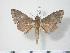  ( - BC-Hax3832)  @14 [ ] Copyright (2010) Unspecified Research Collection of Jean Haxaire