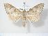  ( - BC-Hax3839)  @14 [ ] Copyright (2010) Unspecified Research Collection of Jean Haxaire
