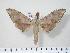  ( - BC-Hax3865)  @14 [ ] Copyright (2010) Unspecified Research Collection of Jean Haxaire