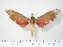  ( - BC-Hax3874)  @13 [ ] Copyright (2010) Unspecified Research Collection of Jean Haxaire