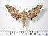  ( - BC-Hax3892)  @14 [ ] Copyright (2010) Unspecified Research Collection of Jean Haxaire