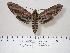  ( - BC-Hax4143)  @15 [ ] Copyright (2010) Unspecified Research Collection of Jean Haxaire