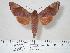  ( - BC-Hax4144)  @14 [ ] Copyright (2010) Unspecified Research Collection of Jean Haxaire