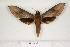  ( - BC-HAX4673)  @13 [ ] Copyright (2010) Unspecified Research Collection of Jean Haxaire