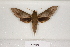  ( - BC-HAX4674)  @13 [ ] Copyright (2010) Unspecified Research Collection of Jean Haxaire