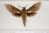  ( - BC-HAX4675)  @11 [ ] Copyright (2010) Unspecified Research Collection of Jean Haxaire