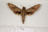  ( - BC-HAX4676)  @13 [ ] Copyright (2010) Unspecified Research Collection of Jean Haxaire