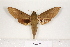  ( - BC-HAX4678)  @15 [ ] Copyright (2010) Unspecified Research Collection of Jean Haxaire