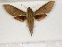  ( - BC-HAX4684)  @11 [ ] Copyright (2010) Unspecified Research Collection of Jean Haxaire