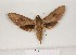  ( - BC-HAX4685)  @13 [ ] Copyright (2010) Unspecified Research Collection of Jean Haxaire