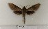  ( - BC-HAX4691)  @13 [ ] Copyright (2010) Unspecified Research Collection of Jean Haxaire