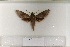  ( - BC-HAX4692)  @12 [ ] Copyright (2010) Unspecified Research Collection of Jean Haxaire