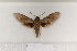  ( - BC-HAX4696)  @13 [ ] Copyright (2010) Unspecified Research Collection of Jean Haxaire