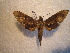  ( - BC-HAX4706)  @12 [ ] Copyright (2010) Unspecified Research Collection of Jean Haxaire