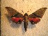 ( - BC-HAX4715)  @12 [ ] Copyright (2010) Unspecified Research Collection of Jean Haxaire