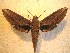  ( - BC-HAX4718)  @12 [ ] Copyright (2010) Unspecified Research Collection of Jean Haxaire