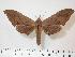  ( - BC-Hax3914)  @14 [ ] Copyright (2010) Unspecified Research Collection of Jean Haxaire