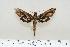  ( - BC-Hax4186)  @13 [ ] Copyright (2010) Unspecified Research Collection of Jean Haxaire