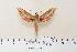  ( - BC-Hax4324)  @14 [ ] Copyright (2010) Unspecified Research Collection of Jean Haxaire