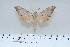 ( - BC-Hax4350)  @14 [ ] Copyright (2010) Unspecified Research Collection of Jean Haxaire