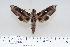  ( - BC-Hax4358)  @14 [ ] Copyright (2010) Unspecified Research Collection of Jean Haxaire