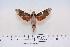  ( - BC-Hax4379)  @13 [ ] Copyright (2010) Unspecified Research Collection of Jean Haxaire