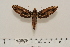  ( - BC-Hax4531)  @12 [ ] Copyright (2010) Unspecified Research Collection of Jean Haxaire