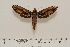  ( - BC-Hax4531)  @12 [ ] Copyright (2010) Unspecified Research Collection of Jean Haxaire