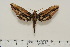  ( - BC-Hax4533)  @14 [ ] Copyright (2010) Unspecified Research Collection of Jean Haxaire
