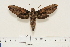  ( - BC-Hax4534)  @12 [ ] Copyright (2010) Unspecified Research Collection of Jean Haxaire