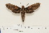  ( - BC-Hax4534)  @12 [ ] Copyright (2010) Unspecified Research Collection of Jean Haxaire