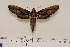  ( - BC-Hax4535)  @12 [ ] Copyright (2010) Unspecified Research Collection of Jean Haxaire