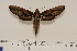  ( - BC-Hax4535)  @12 [ ] Copyright (2010) Unspecified Research Collection of Jean Haxaire