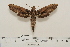  ( - BC-Hax4537)  @12 [ ] Copyright (2010) Unspecified Research Collection of Jean Haxaire