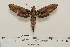  ( - BC-Hax4537)  @12 [ ] Copyright (2010) Unspecified Research Collection of Jean Haxaire