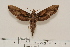  ( - BC-Hax4538)  @11 [ ] Copyright (2010) Unspecified Research Collection of Jean Haxaire
