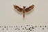  ( - BC-Hax4551)  @13 [ ] Copyright (2010) Unspecified Research Collection of Jean Haxaire